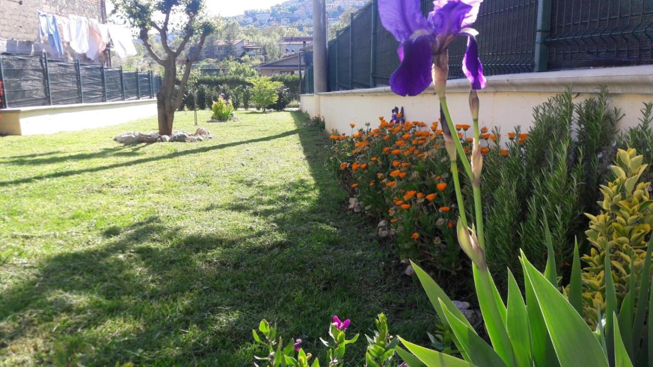La Casina Gialla Villa Veroli Eksteriør bilde